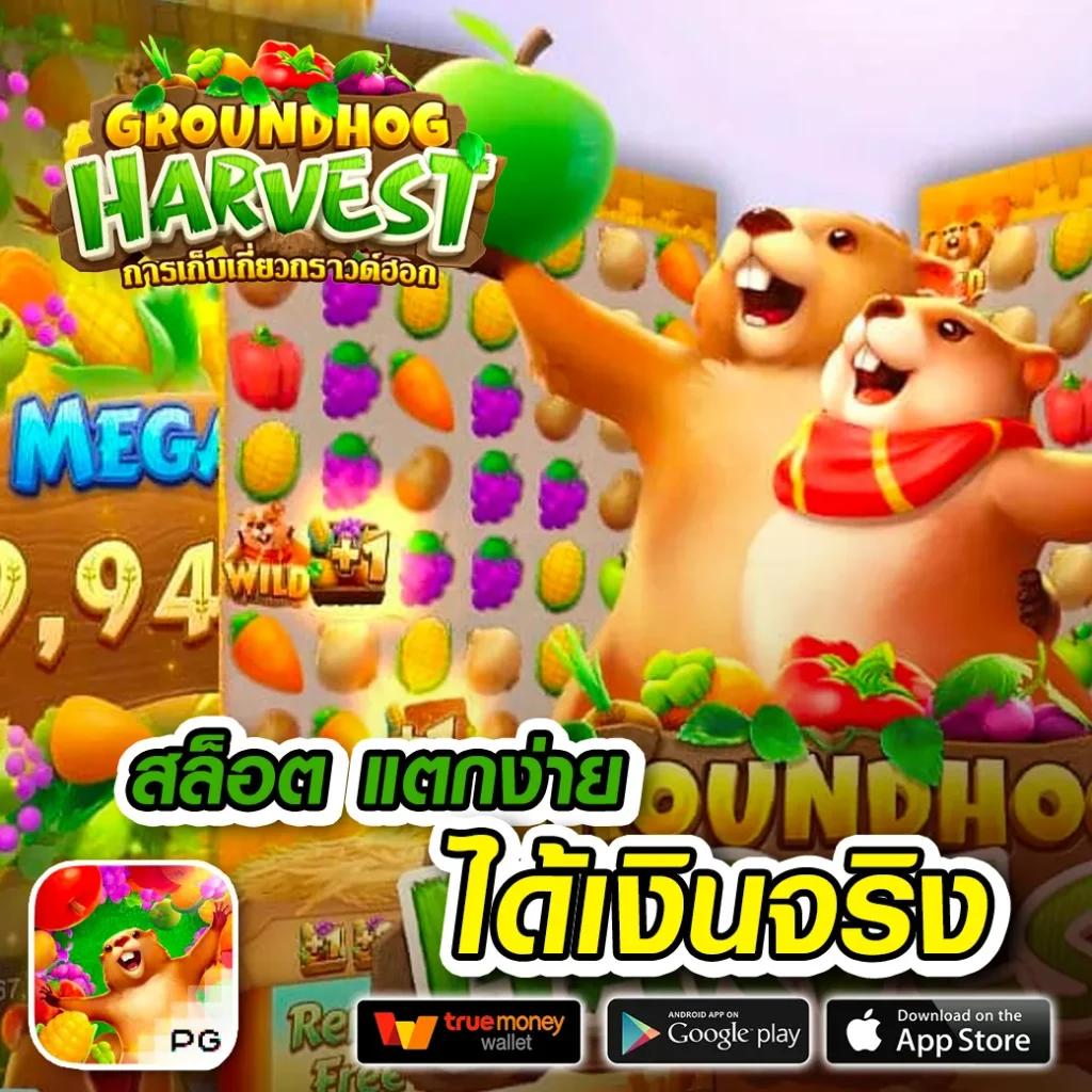 เว็บหวยออนไลน์ จ่ายจริง เว็บตรง สล็อต ฝากถอนออโต้ 2026